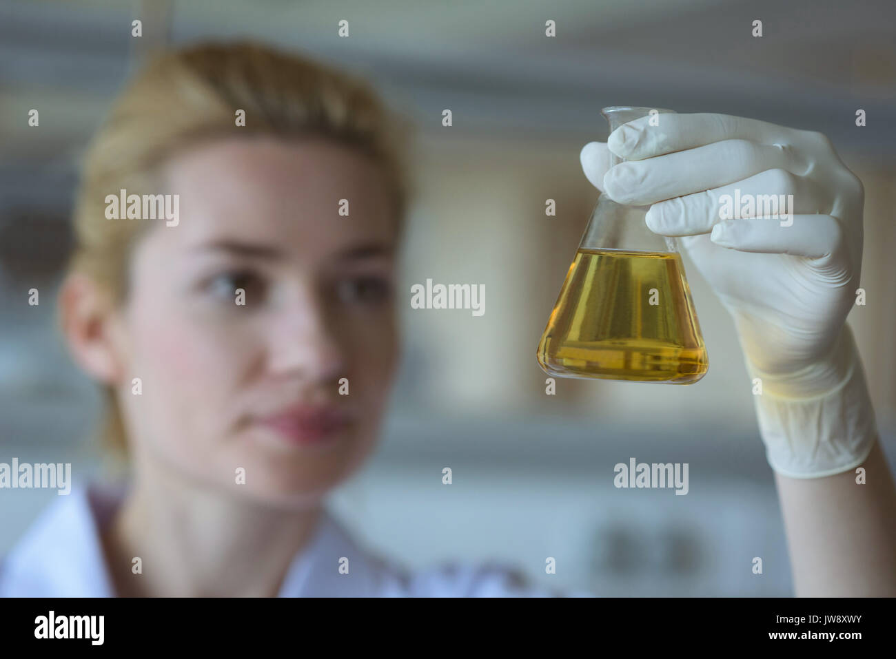 Aufmerksame Student tut ein chemisches Experiment im Labor Stockfoto