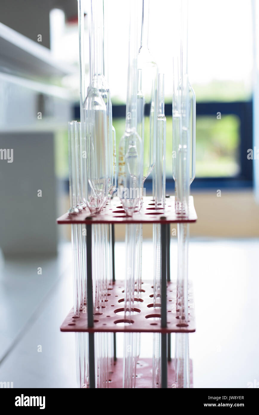 Nahaufnahme von Pipetten aus Kunststoff stehen auf dem Tisch im Labor Stockfoto