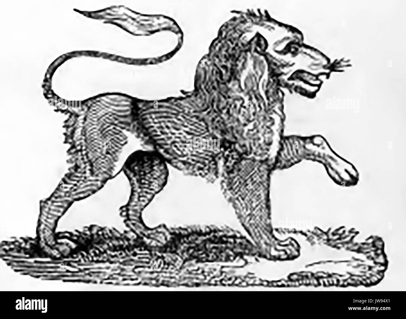 Early English Holzschnitt zeigt die British Lion Stockfoto