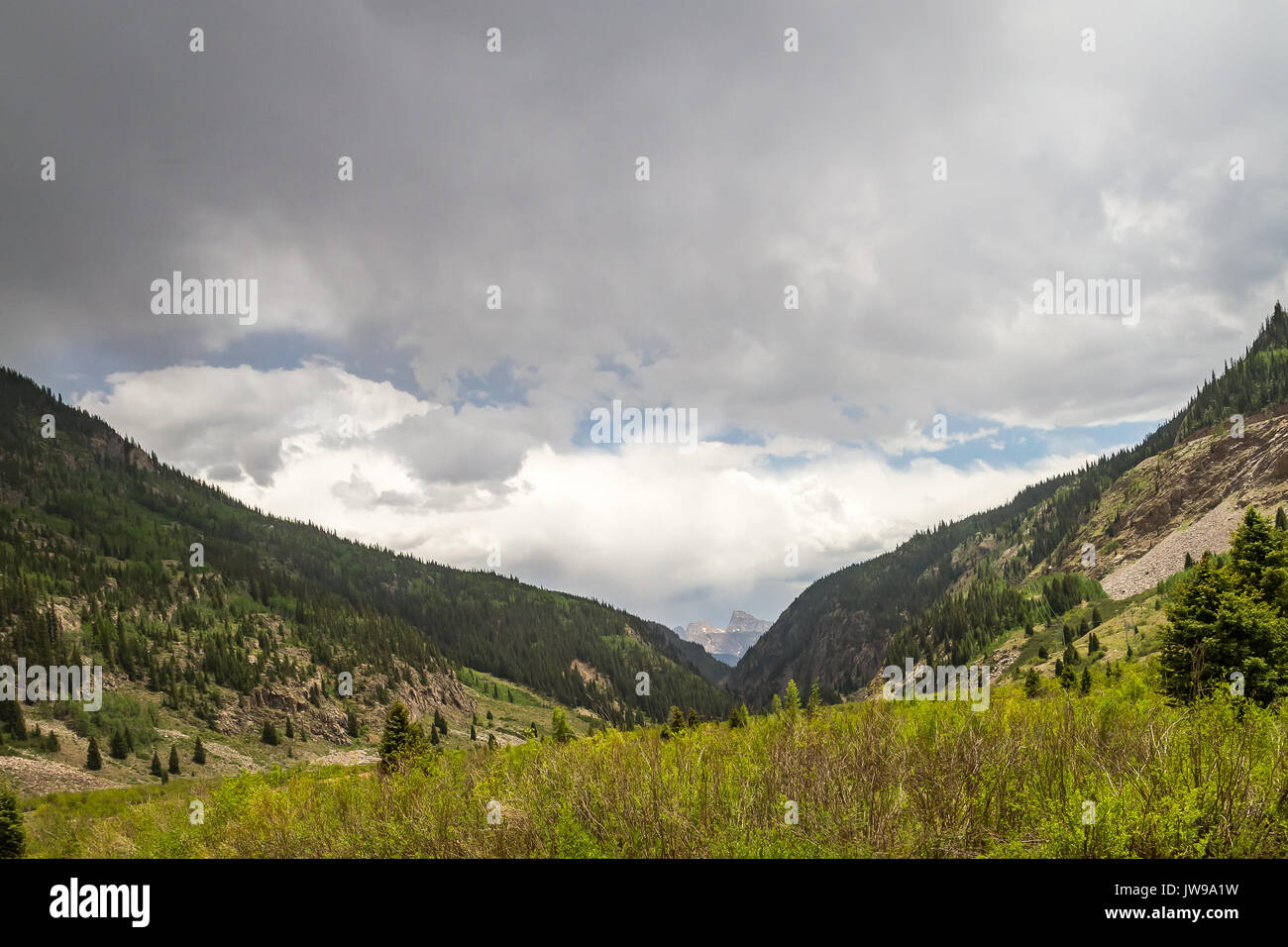 Eine Fahrt mit dem Zug von Rockwood Depot entlang des Animas River außerhalb von Durango, Colorado. Stockfoto