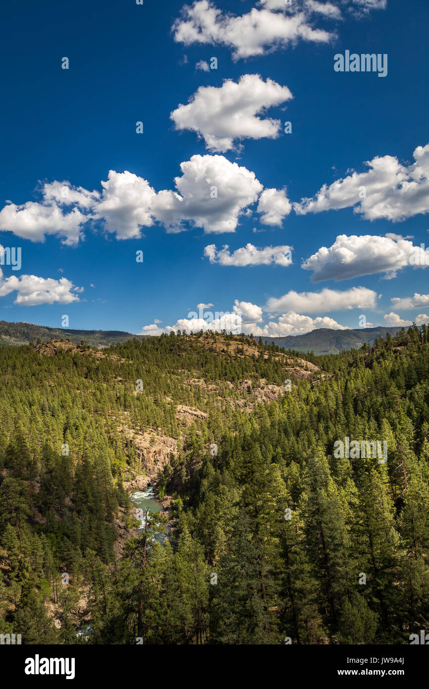 Eine Fahrt mit dem Zug von Rockwood Depot entlang des Animas River außerhalb von Durango, Colorado. Stockfoto