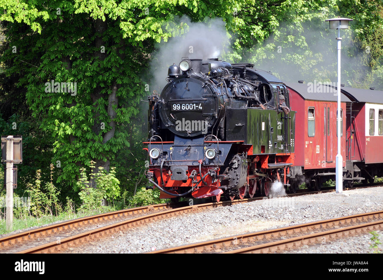 99 6001-4 Friedrichshohe verlassen mit dem 13:57 Gernrode - Hasselfelde Service. Harzer Schmalspurbahnen. Stockfoto