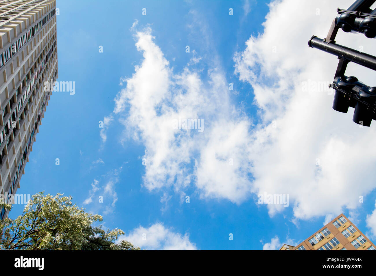 Bananenblätter Stockfoto