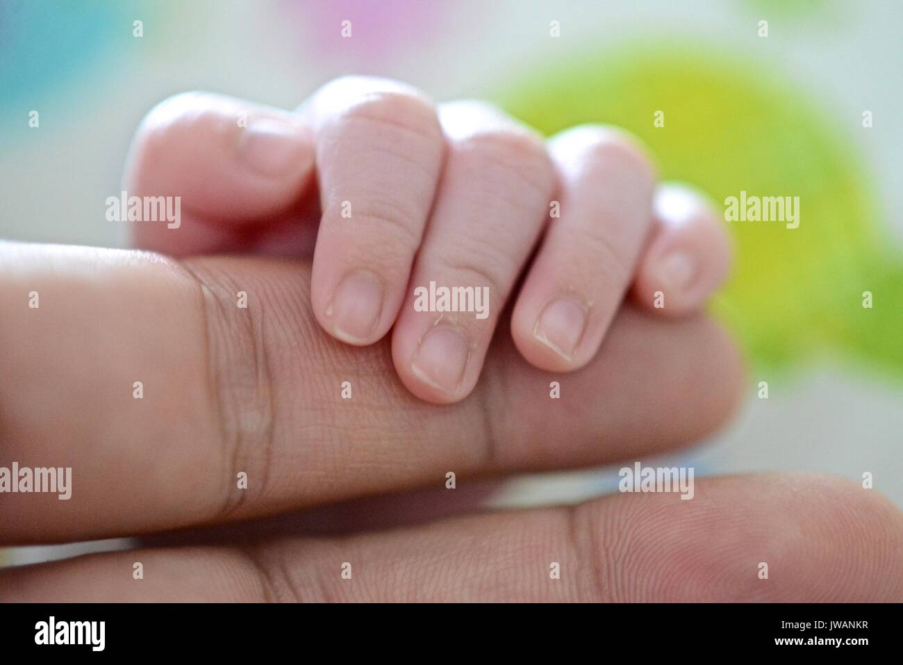 Hand einer dreiwöchigen neugeborenes Mädchen halten Sie die Finger von ihrem Vater. Stockfoto
