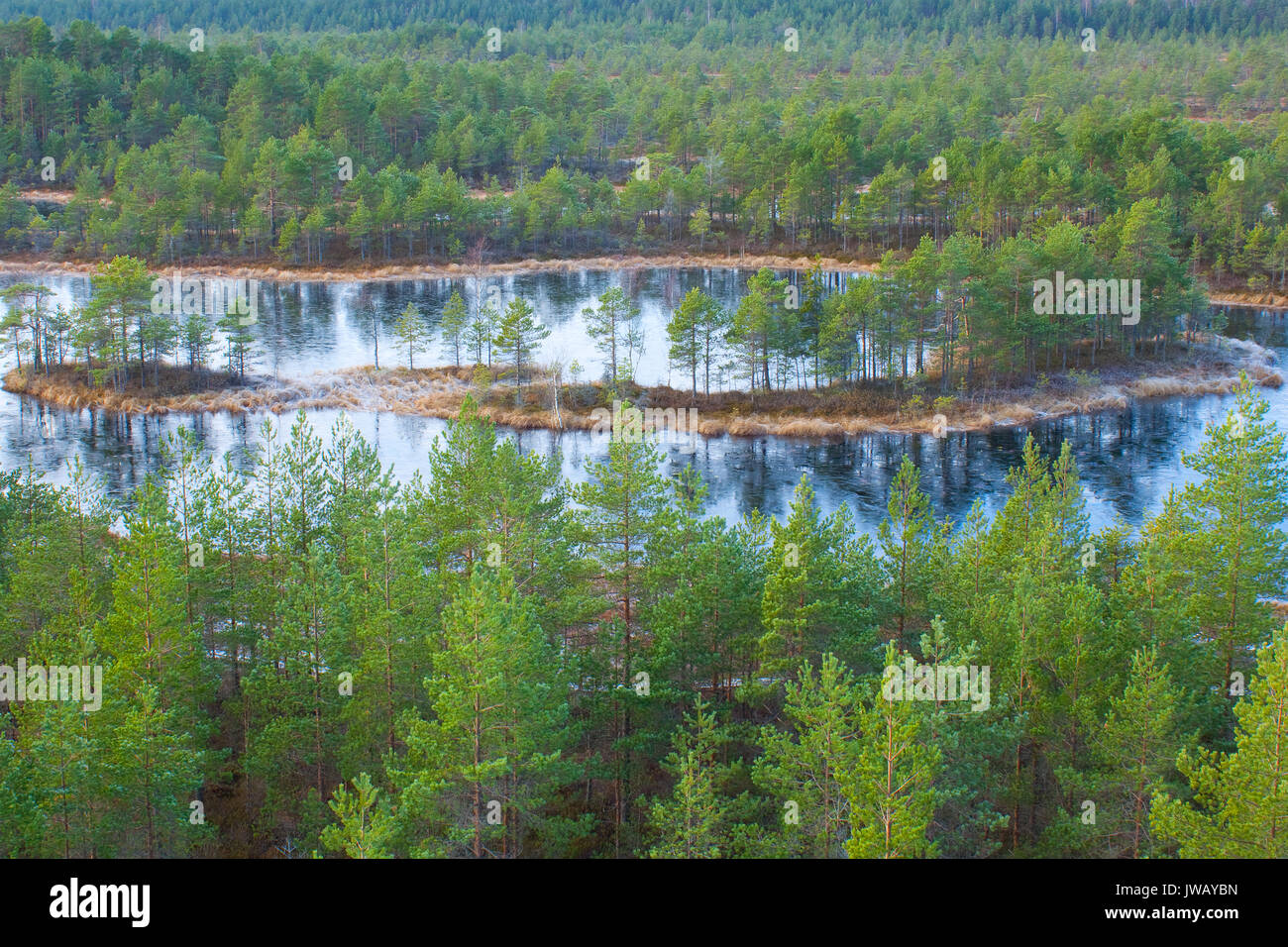 Eine Aussicht auf eine wunderschöne Mukri in Raplamaa, Estland - eines der ältesten Mooren im Land bog Stockfoto