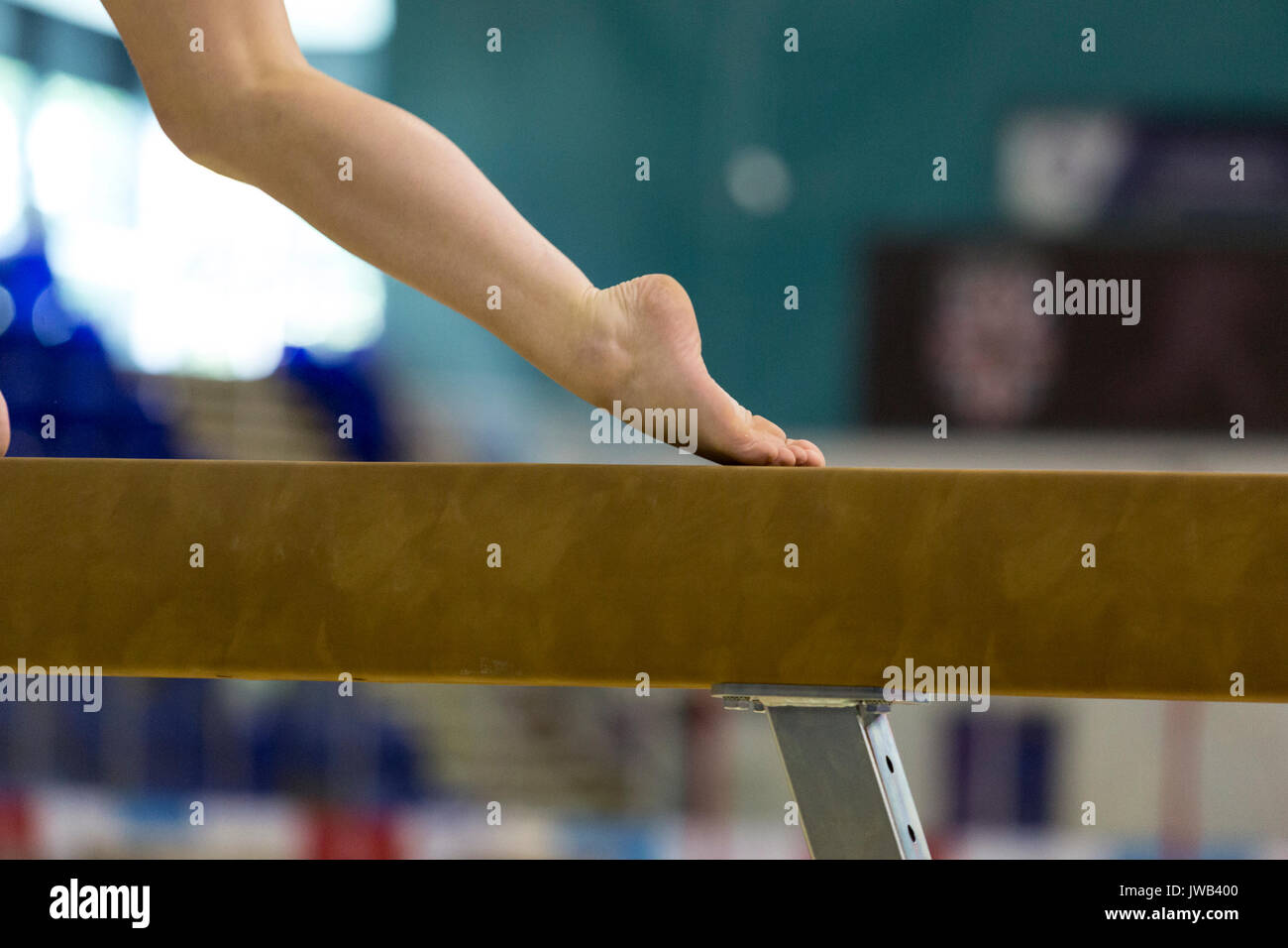 Großbritannien Special Olympics in Sheffield, Vereinigtes Königreich, am 10. August 2017. Athleten mit geistiger Behinderung aus verschiedenen Regionen von Großbritannien konkurrieren Stockfoto