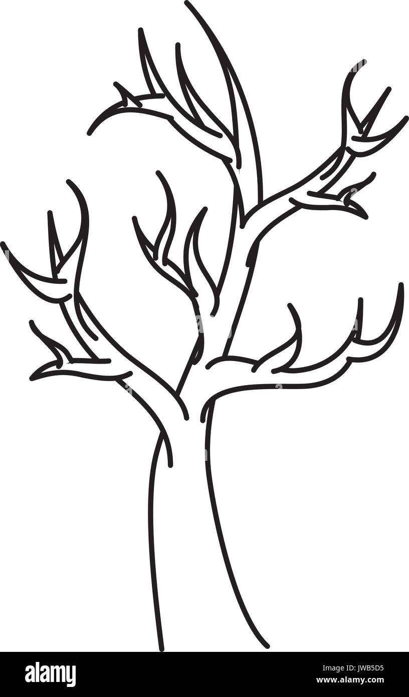 Trockenen Baum isolierte Symbol Vektor illustration Design Stock Vektor