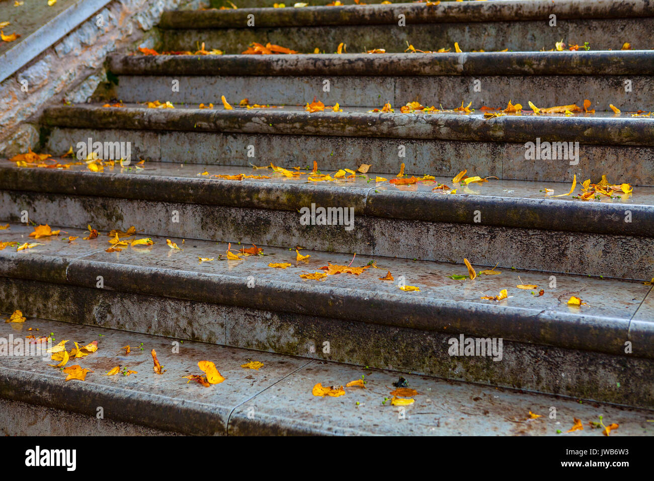 Alte Steintreppe mit Gefallenen gelbe Blätter abgedeckt Stockfoto
