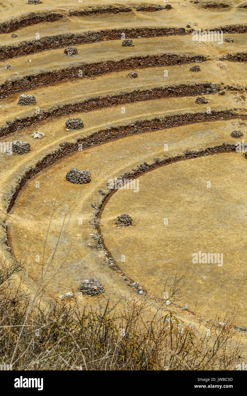 Konzentrische landwirtschaftlichen Terrassen, Moray Inka-Ruinen, Cusco, Peru Stockfoto