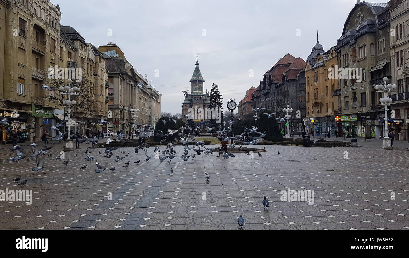 Timisoara, Rumänien - 3. Februar 2017: Victoriei Square mit dem Dom im Hintergrund Stockfoto