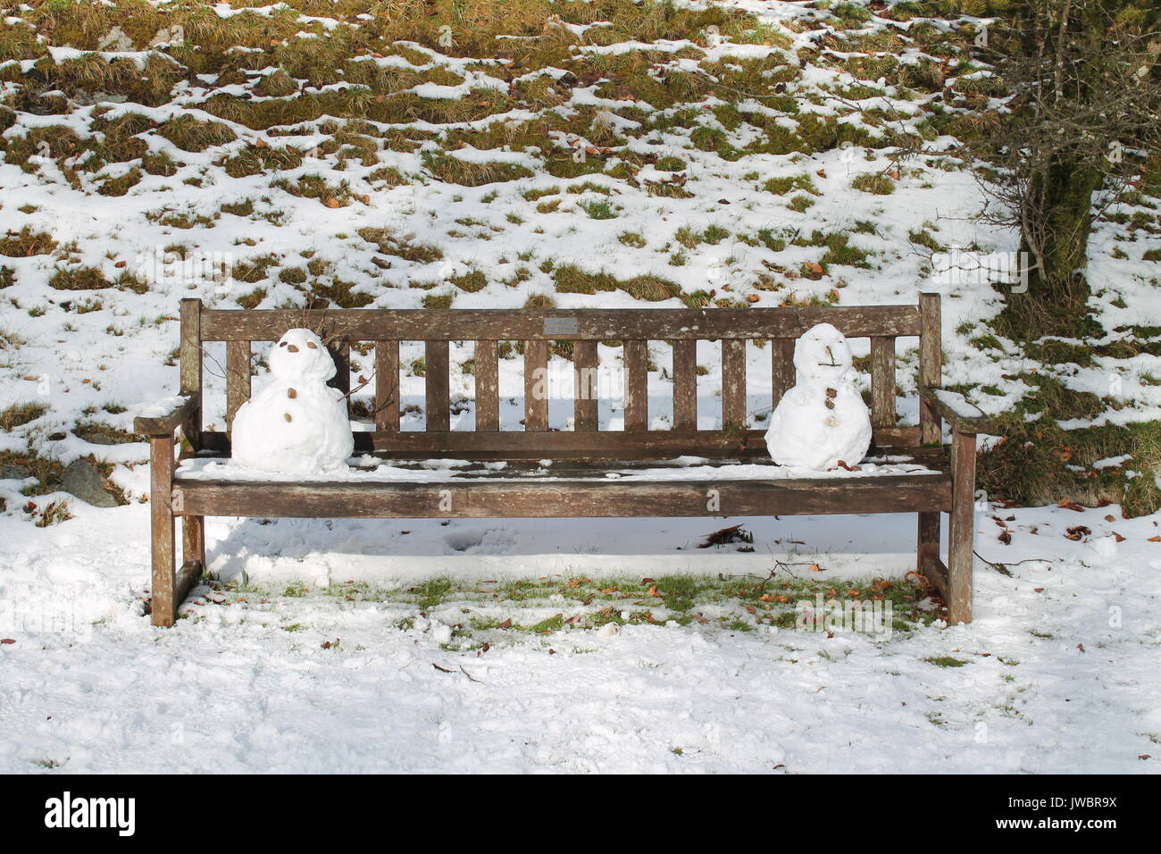 2 Schneemänner auf einer Holzbank auf Dartmoor. Stockfoto