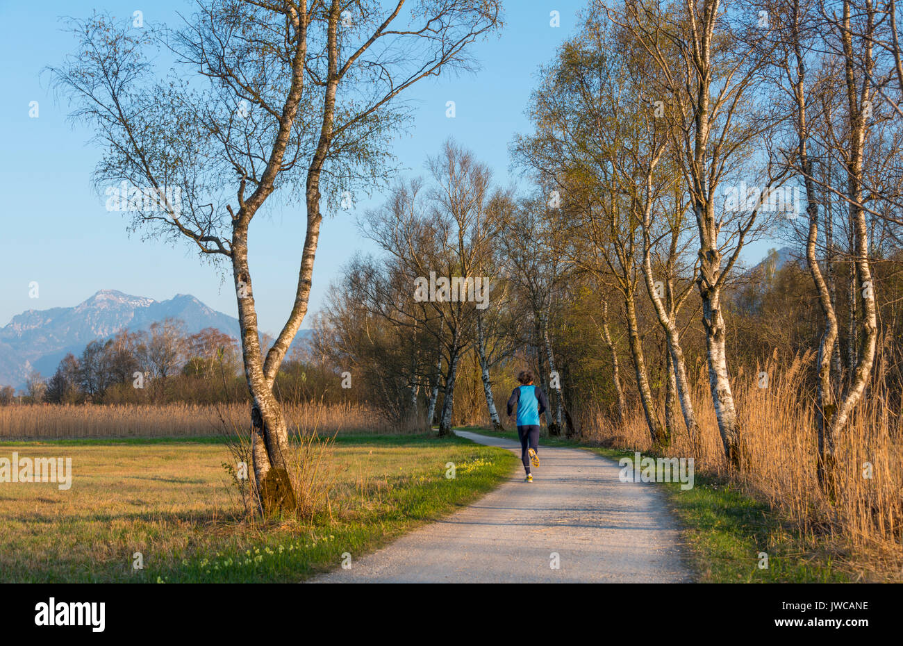 Jogger auf Chiemsee Kreisbahn, Oberbayern, Bayern, Deutschland Stockfoto