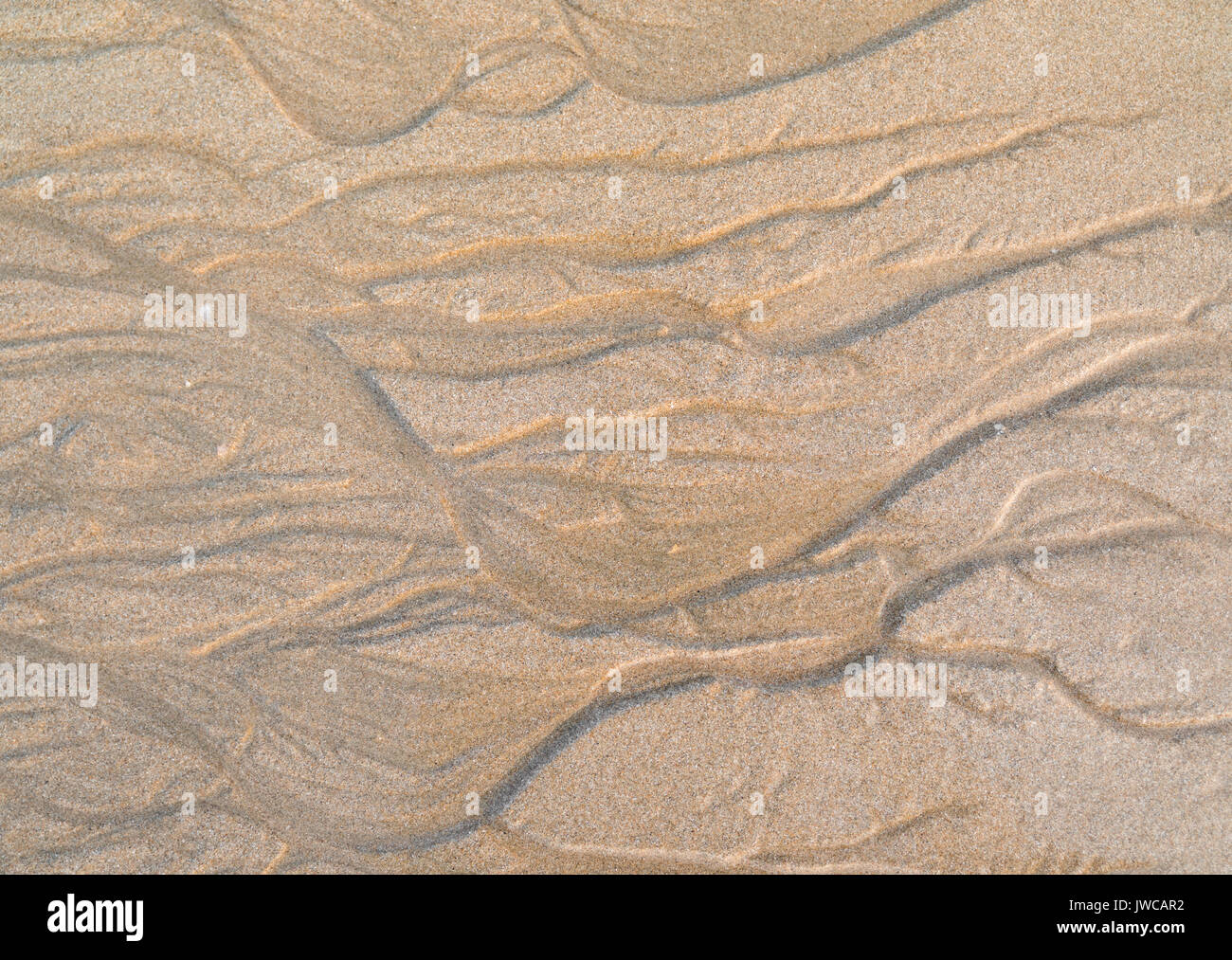Sand oberfläche details Stockfoto