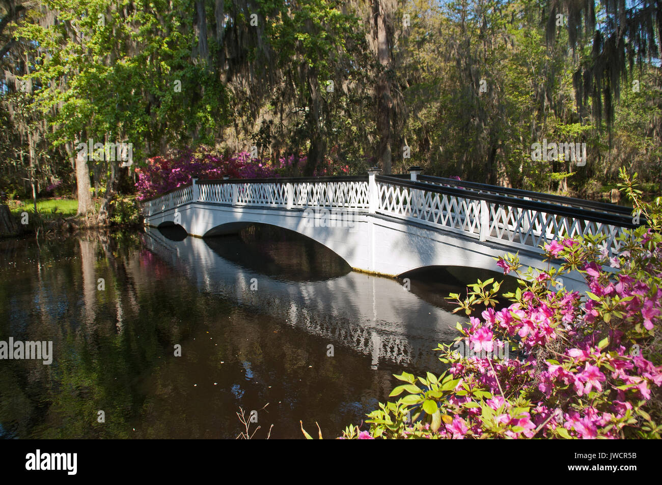 Fuß-Brücke in der Nähe von Charleston, South Carolina Stockfoto