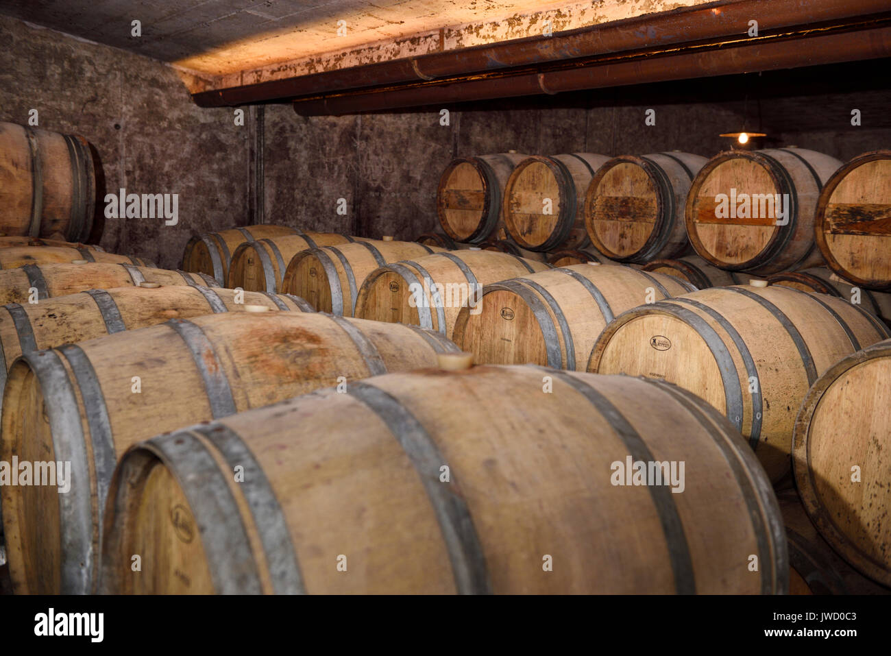 Konstante Temperatur Gewölbekeller mit Französischen barrique Barrique zu alter Wein im Weingut Slovrenc Kabaj Morel Dobrovo Brda Slowenien Stockfoto