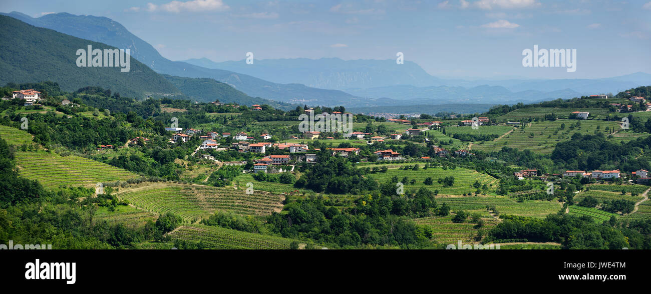 Panorama der Weinberge in den grünen Hügeln von Görz Brda bei Smartno Snezatno aus Slowenien und der trnovo Wald Karst Stockfoto