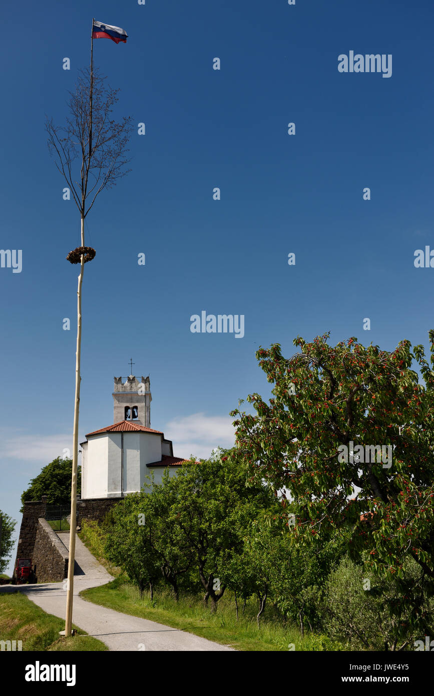 Maibaum mit slowenischer Flagge und Kranzniederlegung in Saint Vitus Katholische Kirche und Kirschbäume im Vedrijan Brda Slowenien Stockfoto