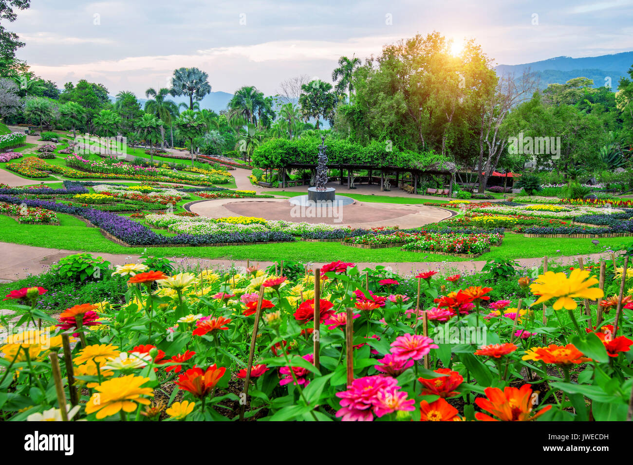 Garten Blumen, Mae Fah Luang Garten suchen auf Doi Tung in Chiang Rai,  Thailand Stockfotografie - Alamy