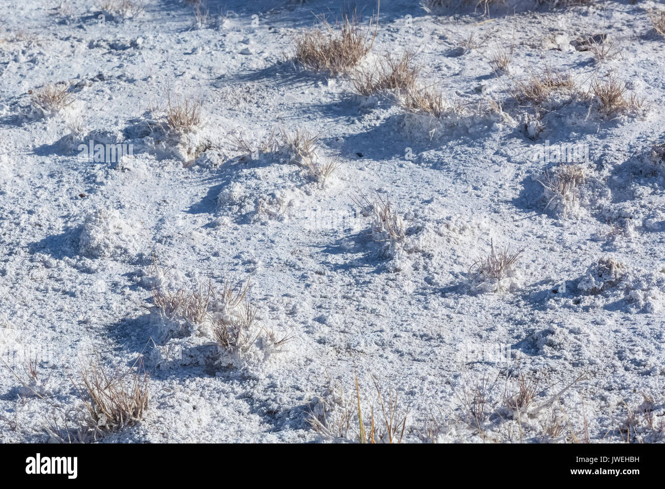 Weiß alkali Boden am Rand der/Bisti De-Na-Zin Wilderness in der Nähe von Farmington, New Mexico, USA Stockfoto