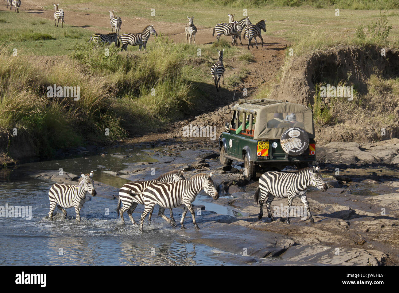 Safari fahrzeug -Fotos und -Bildmaterial in hoher Auflösung – Alamy