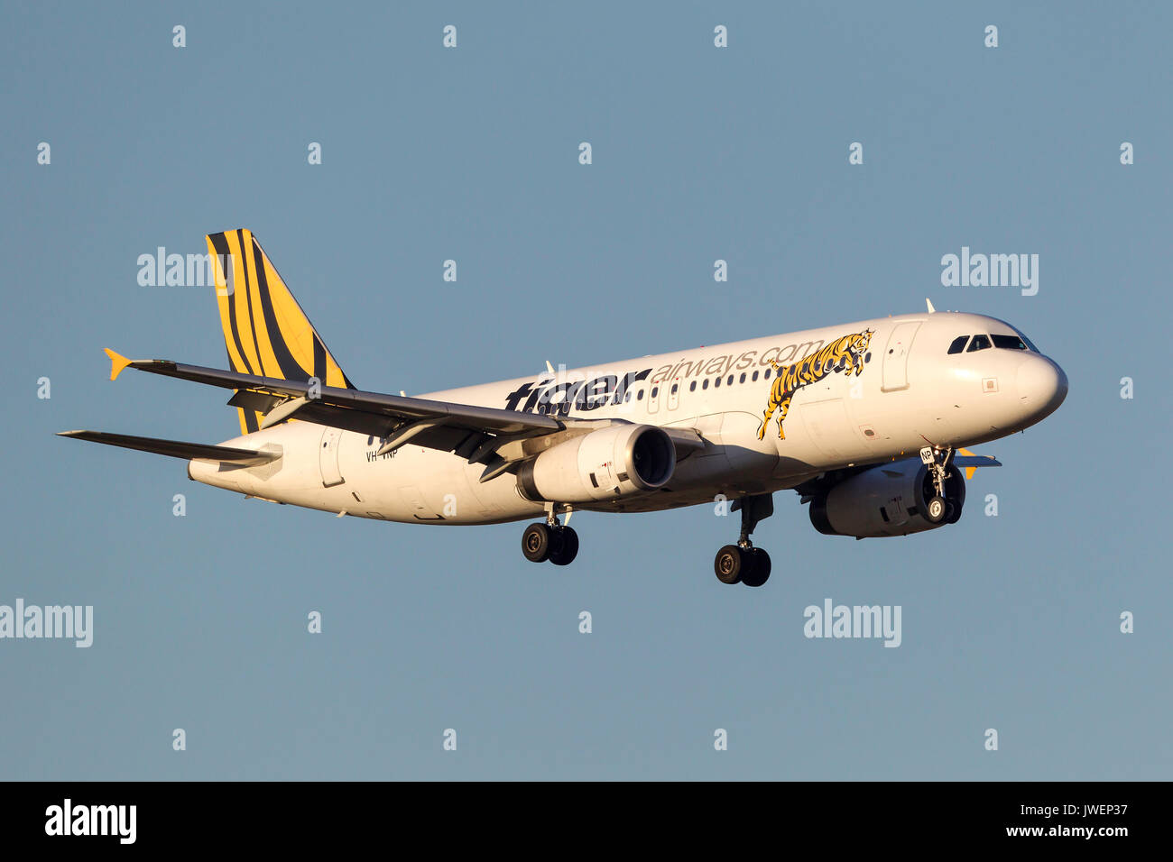 Low Cost Airline Tiger Airways Airbus A320-232 VH-vnp auf Annäherung an der Melbourne International Airport zu landen. Stockfoto