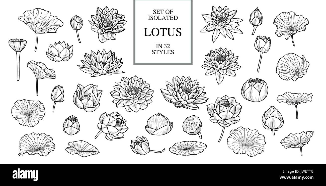 Eingestellt von isolierten Lotus in 32 Stil. schwarzer Outline. Hand gezeichneten Stil. Vector Illustration Stock Vektor