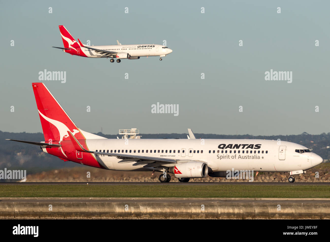 Qantas Boeing 737 am Flughafen Sydney mit Qantas 737 Landung in den Hintergrund. Stockfoto