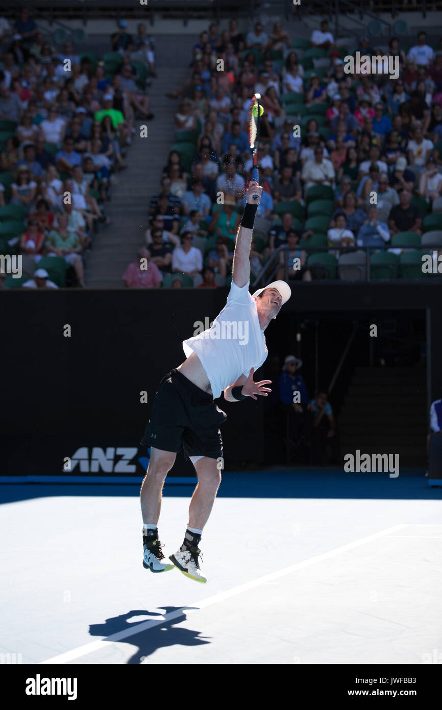 ANDY MURRAY (GBR), die in Aktion bei den Australian Open Stockfoto
