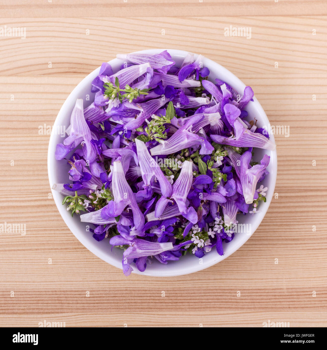 Blumen von Lavendel, Thymian und Frauenmantel Stockfoto