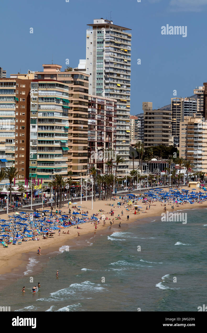 Benidorm - Spanien. Eine Stadt am Mittelmeer in der Provinz Alicante an der Costa Blanca in Spanien. Stockfoto