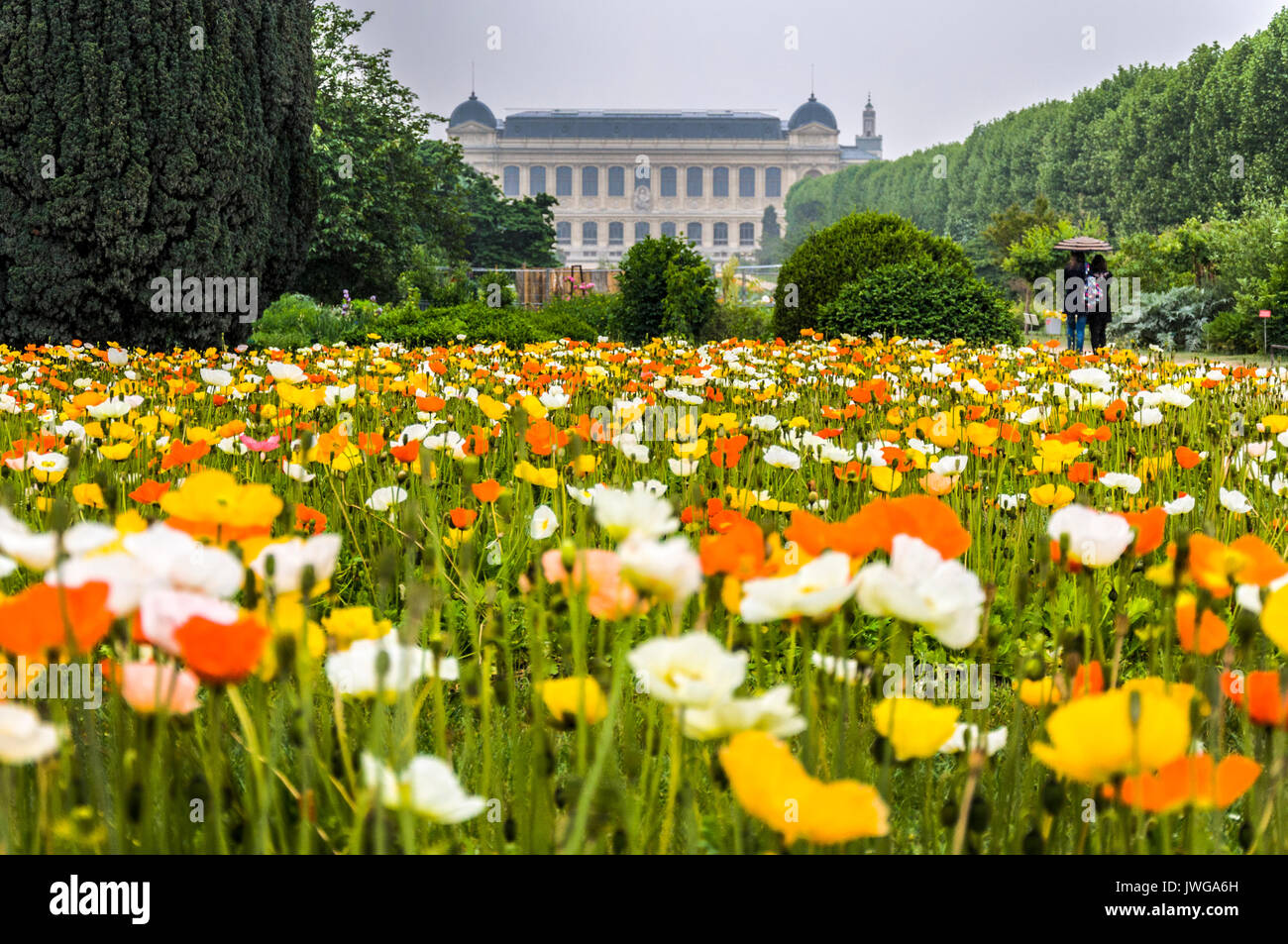 Jardin des Plantes, Paris, Frankreich Stockfoto