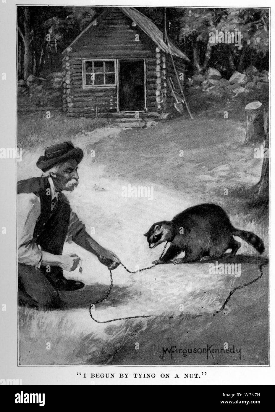 Gravur einer Mountain Man mit der Leine um den Hals eines Waschbären, mit Bildunterschrift lesen Ich durch das Binden an eine Mutter begann, Bild der Kabine und Wäldern im Hintergrund, 1900 anmelden. Stockfoto
