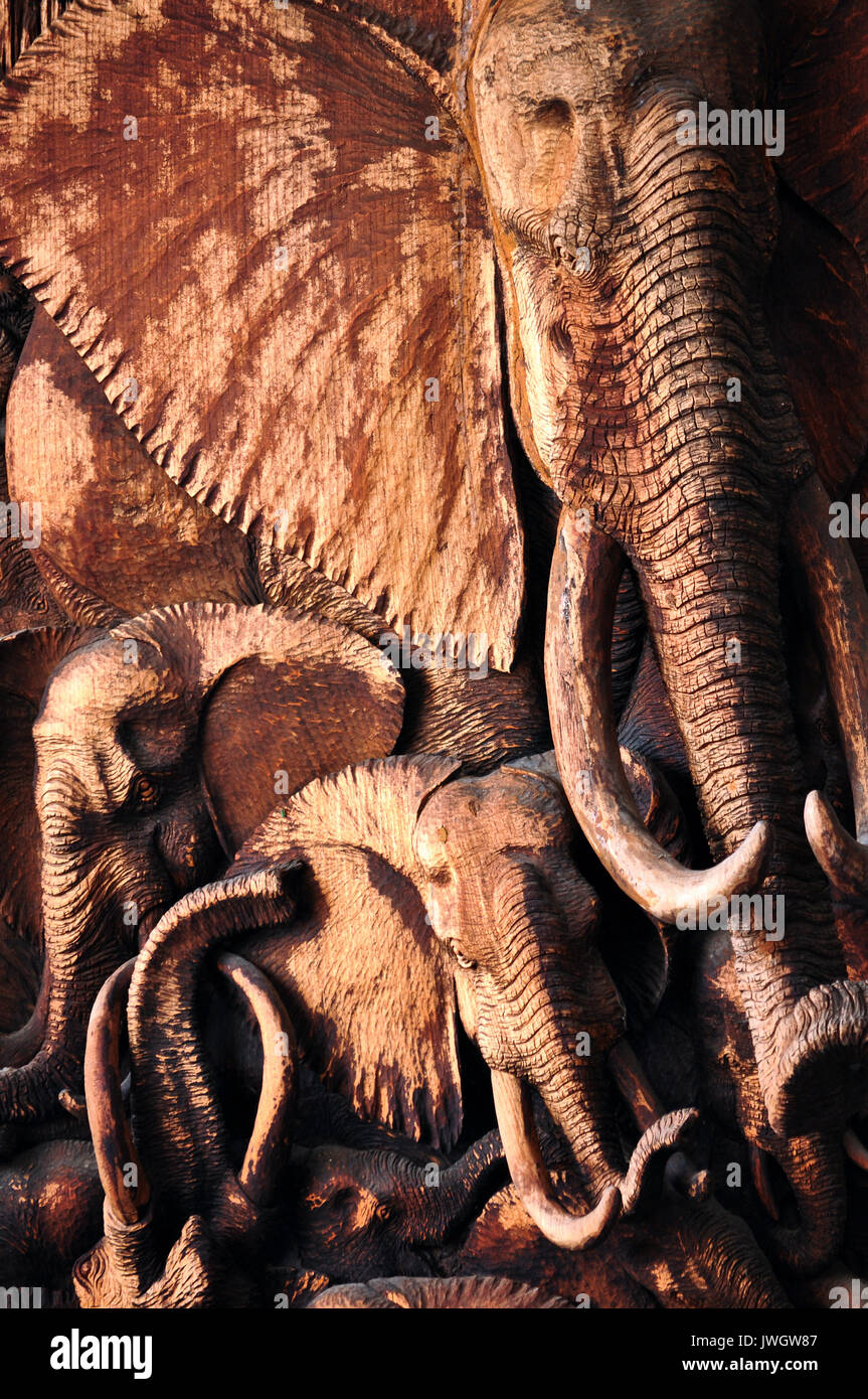 Elefanten sind die größten Landtiere leben heute auf der Erde. Stockfoto