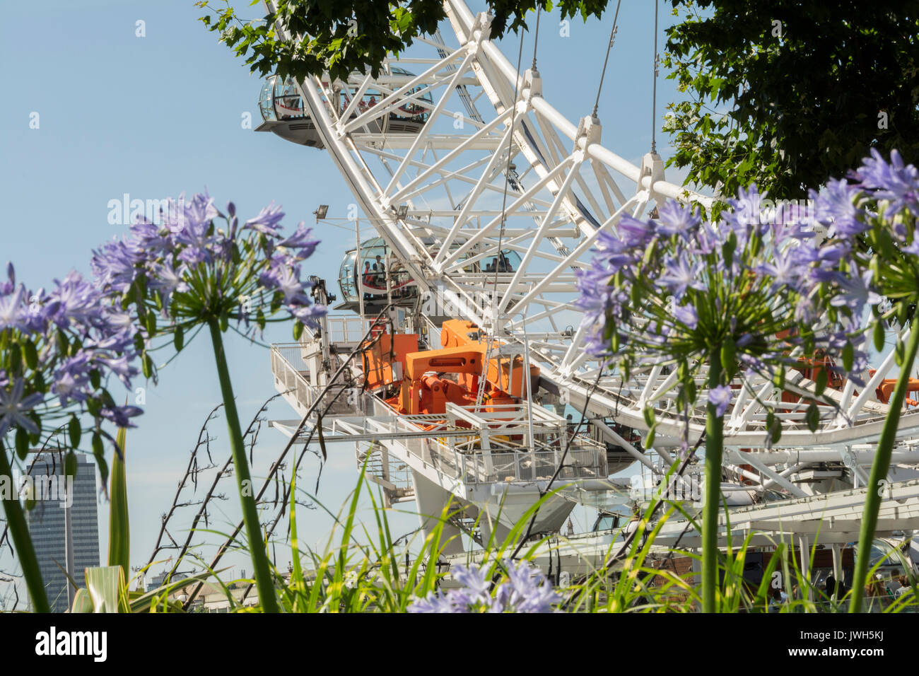 Das London Eye - Riesenrad am Südufer der Themse in London, Großbritannien Stockfoto