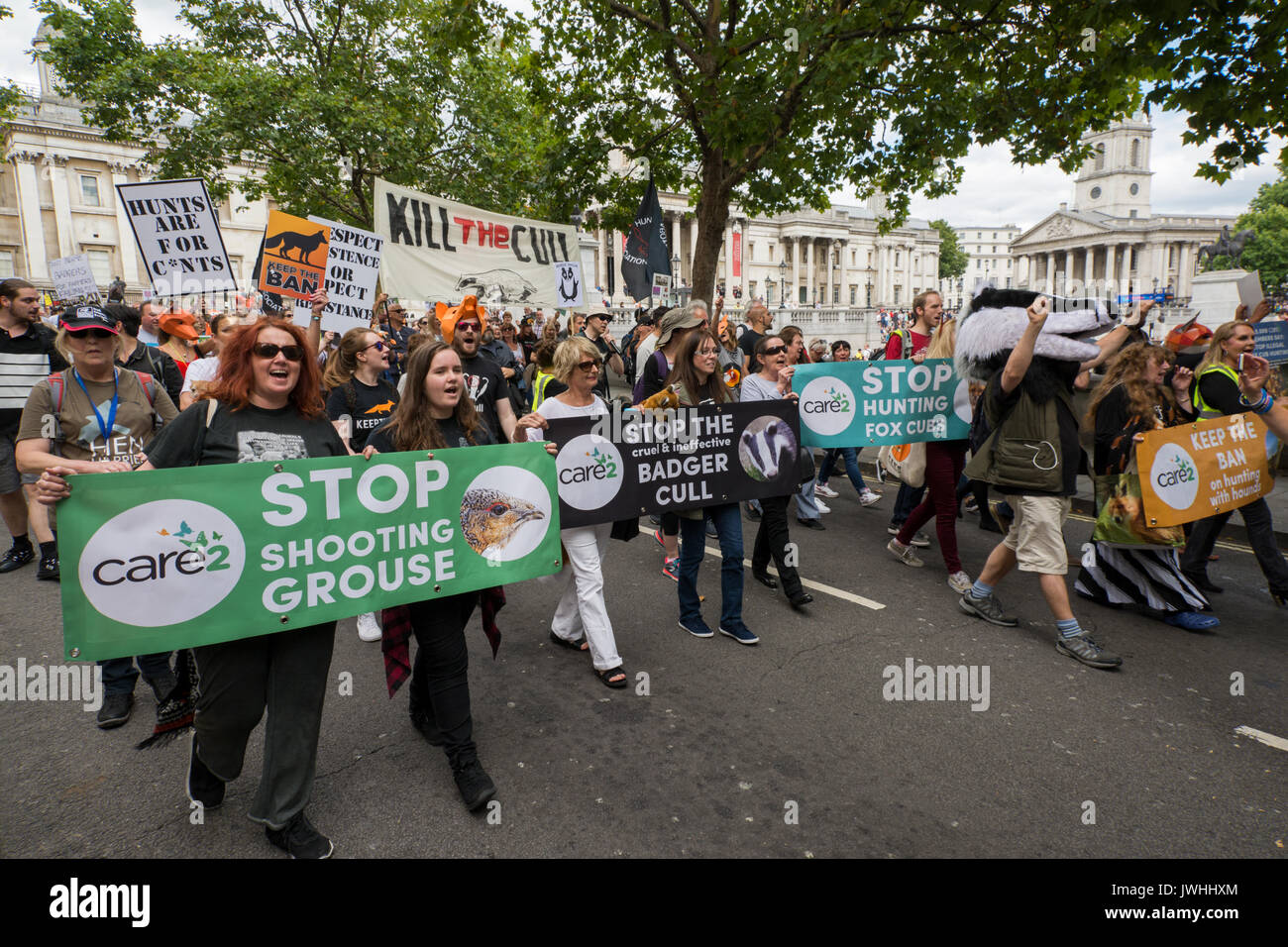 London, UK, 12. August 2017. Machen Badger Culling, Fuchs Jagd & Driven Moorhuhn schießen Geschichte. Tausende marschierten durch die Londoner Downing Street in einem friedlichen Protest Tierquälerei zu stoppen. Im März wurde abgehalten mit dem Start der Moorhuhn schießen Saison übereinstimmen, ist der Beginn der fünften Jahr des Dachses Keulungen, und die anhaltende illegale Tötung von Fox Cubs. Vorbei an den Trafalgar Square. Quelle: Steve Bell/Alamy leben Nachrichten Stockfoto