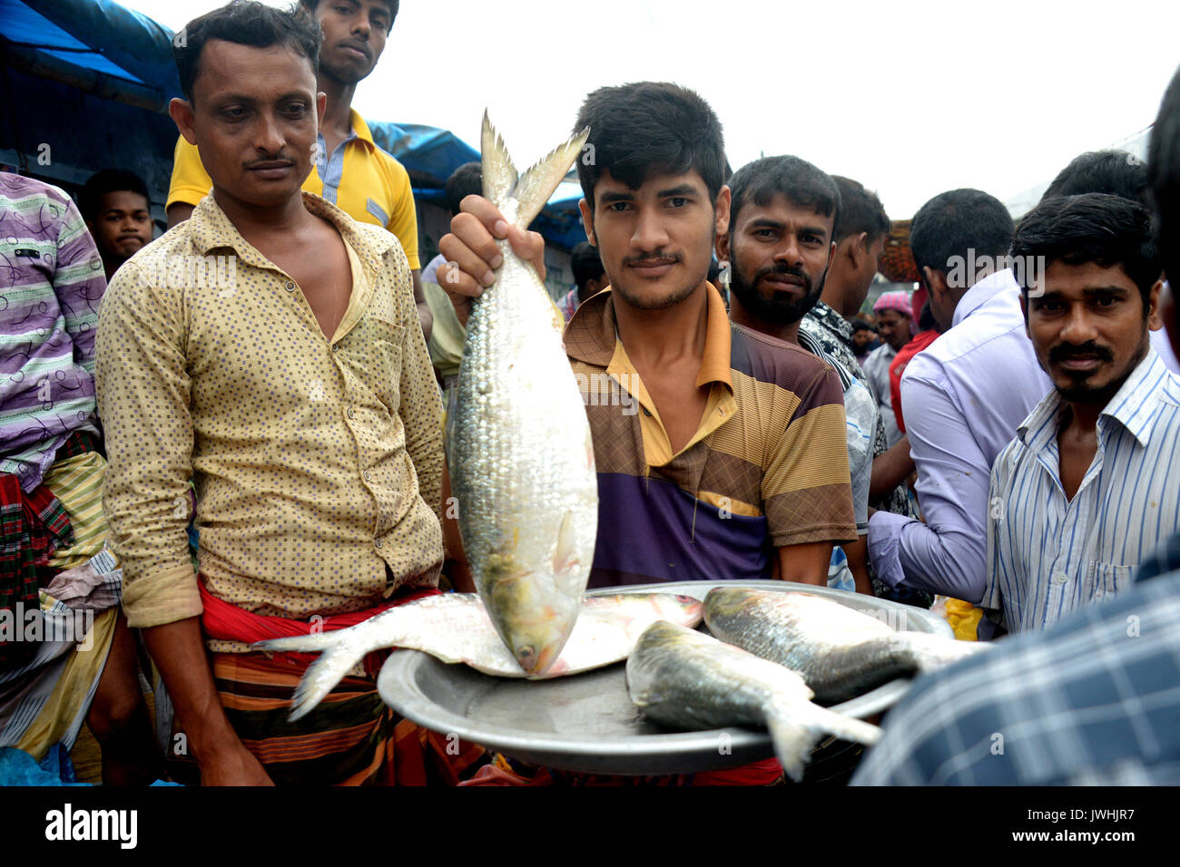 Dhaka, Bangladesch. 13 Aug, 2017. Ein Mann hält einen Hilsa Fisch auf einem Markt in Dhaka, Bangladesch, 13.08.2017. Hilsa, der Bangladesh National Fish beliebt für seine leckeren Fleisch, wird eingestellt, als zweite des Landes geographische Angabe (GI) Registriertes Produkt gemäß Leitlinien der Weltorganisation für Geistiges Eigentum (WIPO). Credit: Salim Reza/Xinhua/Alamy leben Nachrichten Stockfoto