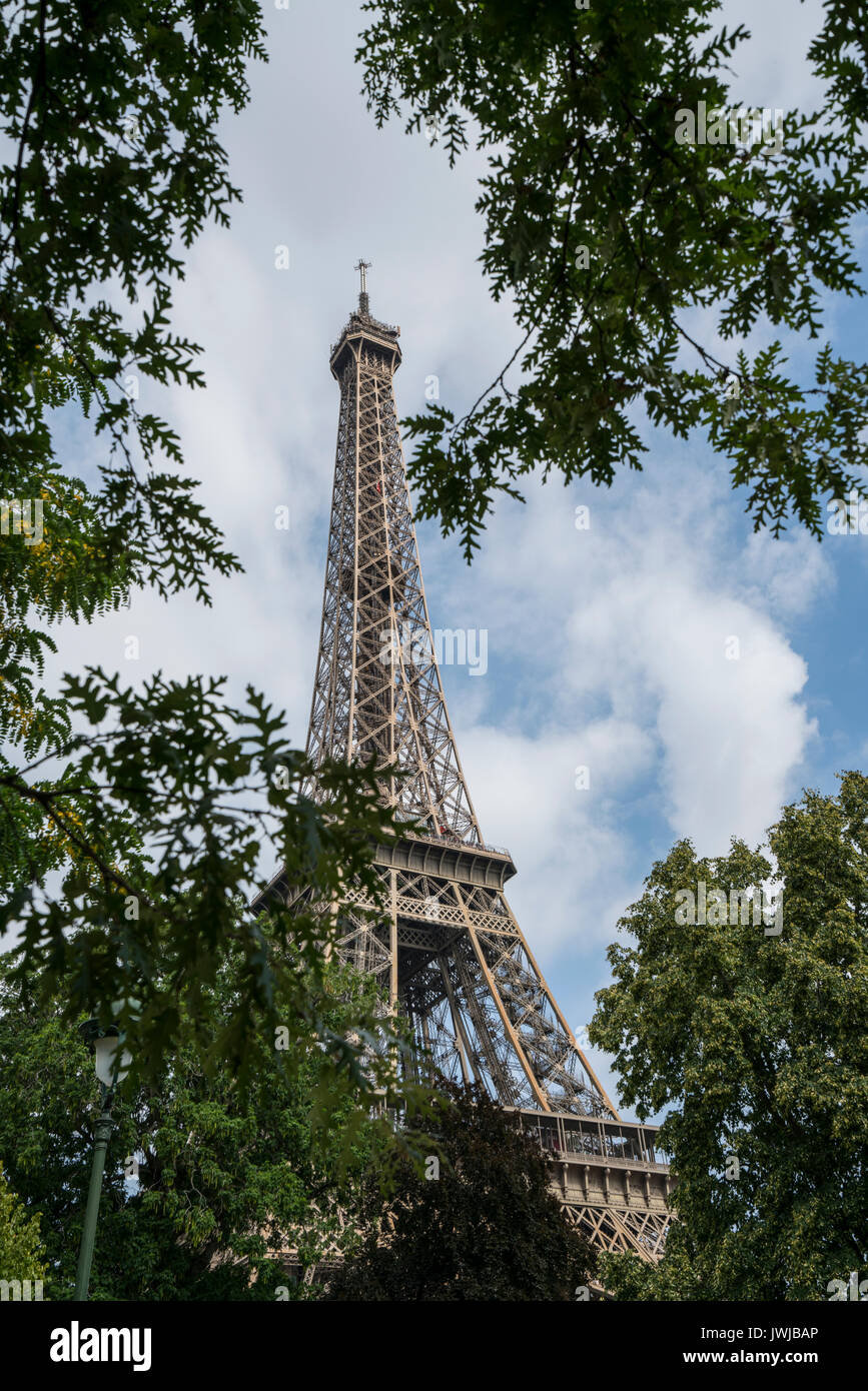 Der Eiffelturm zwischen den Bäumen Stockfoto