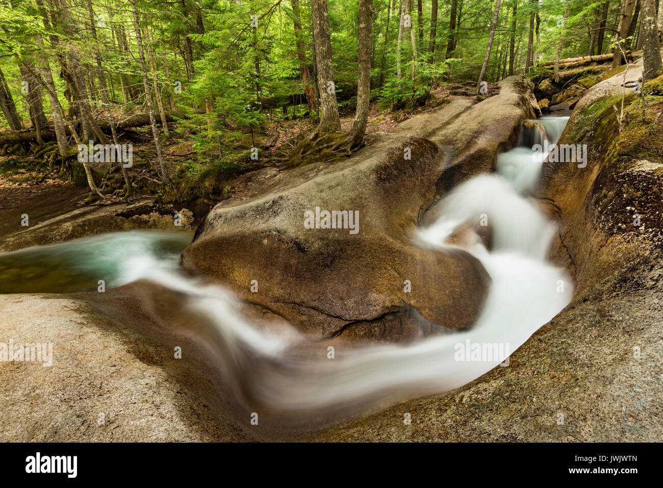 Eine Rutsche/Folie Schnitte durch harte Granit entlang der Pemigewasset River im Frühjahr, Grafton Co., Franconia Notch State Park, NH Stockfoto