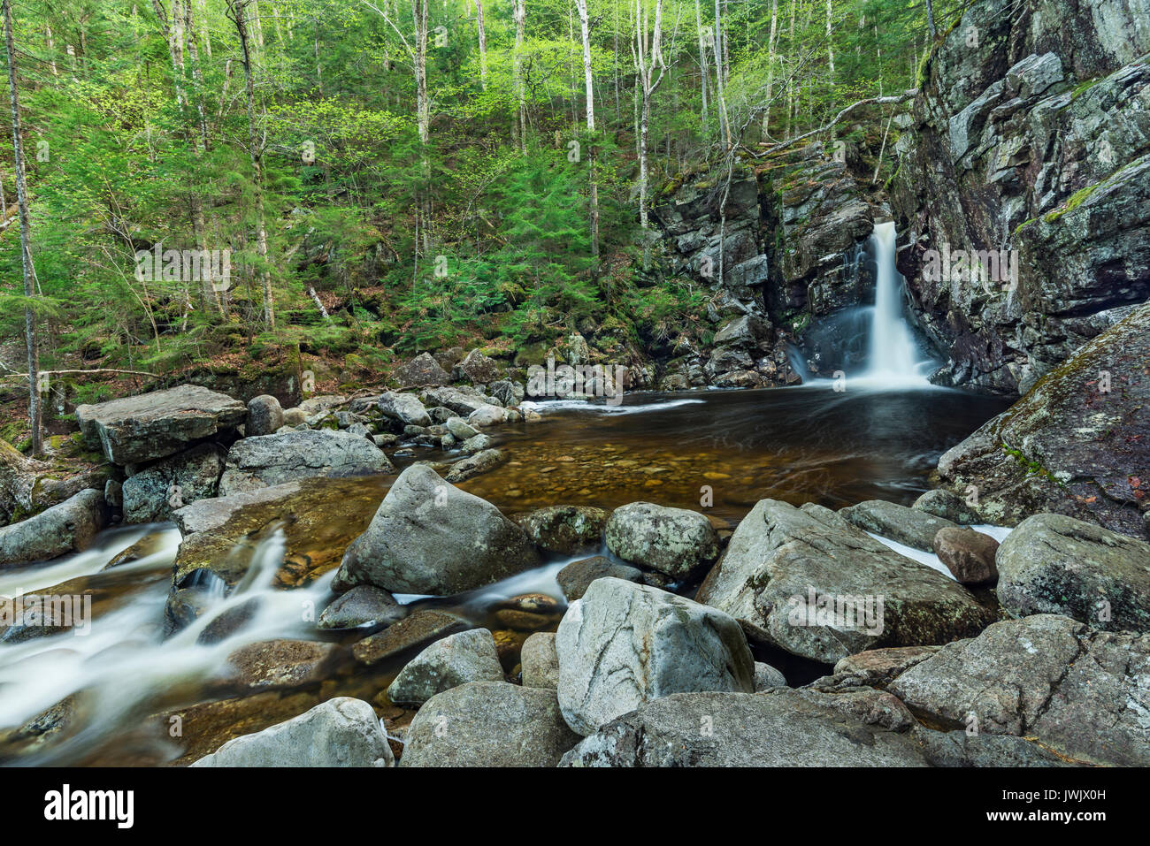 Löser fällt auf Cascade Bach im Frühling, Grafton Co., White Mountain National Forest, Franconia Notch State Park, NH Stockfoto