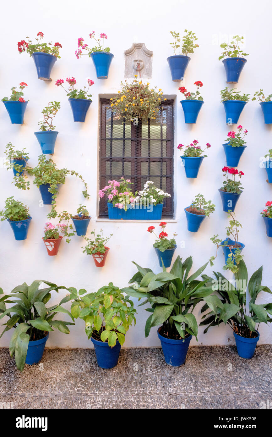 Die Patios kommen in Ihre eigenen während des Festivals der Innenhöfe, wenn alle Eigentümer die Teilnahme an dem Wettbewerb in Cordoba, Andalusien, Spanien Stockfoto