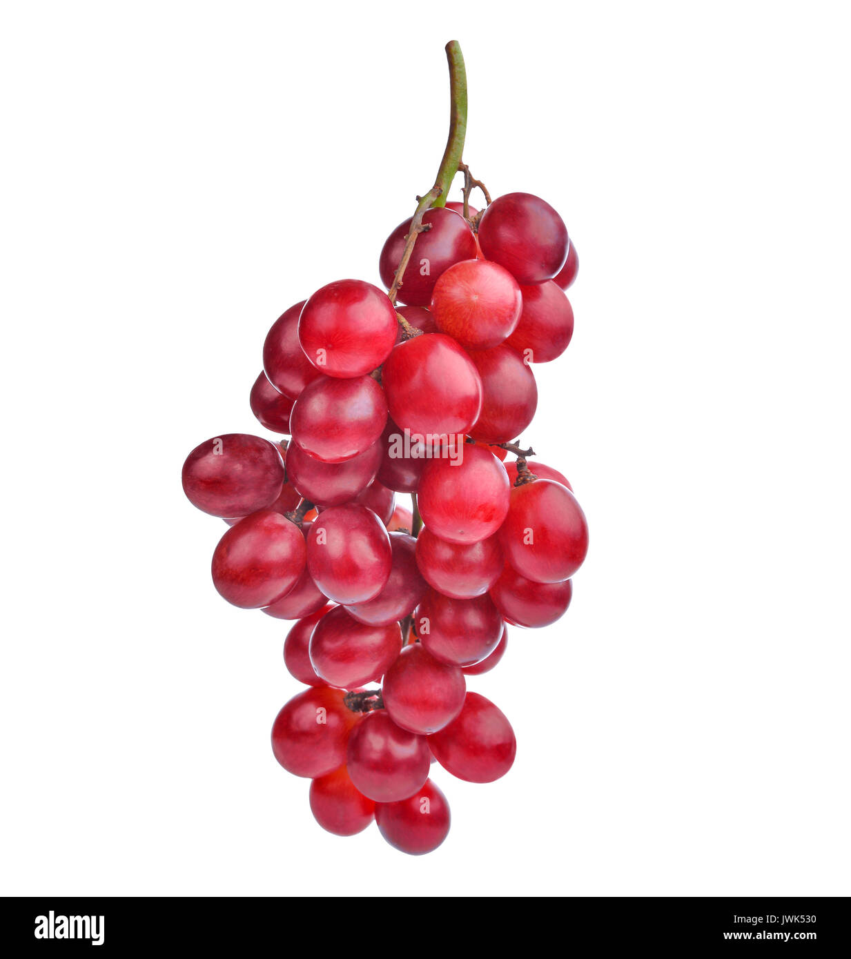 Frische rote Trauben auf weißem Hintergrund Stockfoto