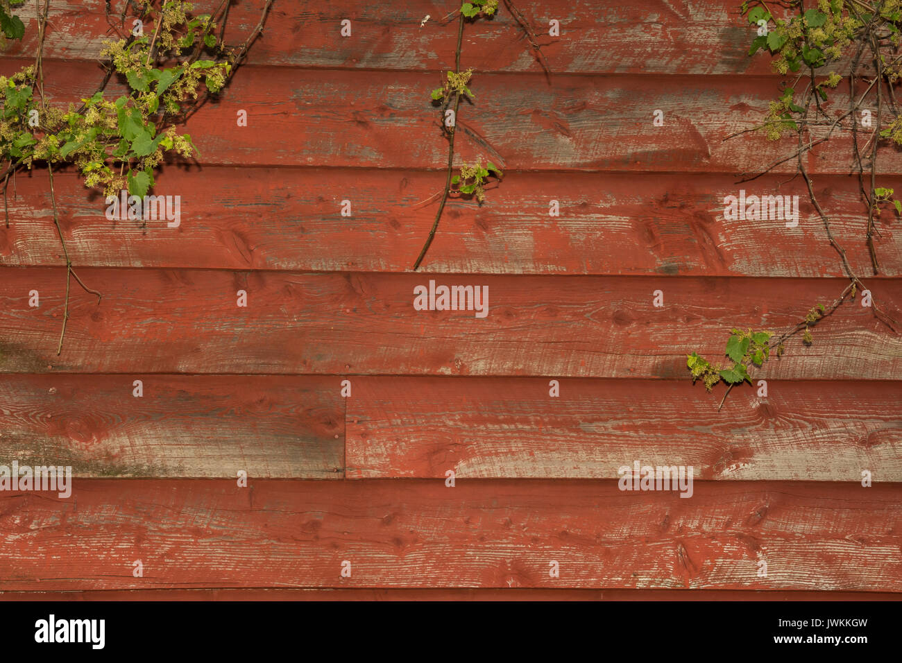 Rustikale Scheune Holz Hintergrund Stockfoto