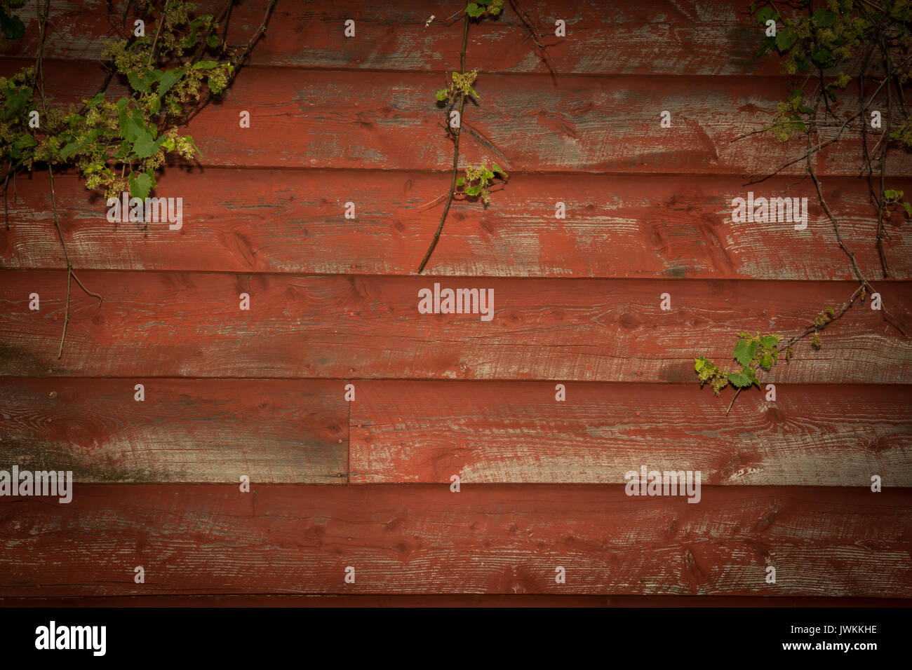 Rustikale Scheune Holz Hintergrund Stockfoto