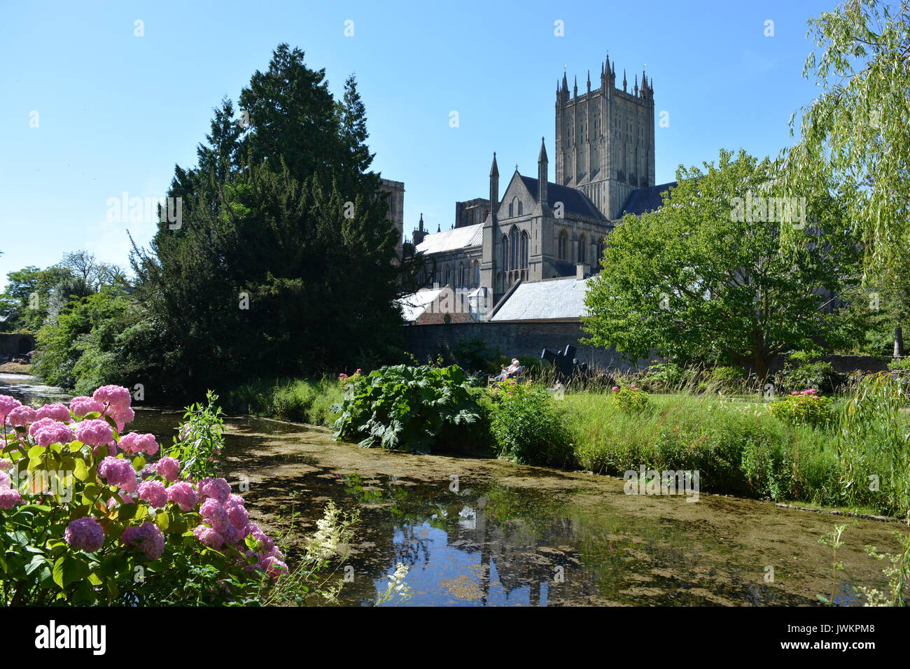 Wells Cathedral von Bishop's Palace Gardens, Wells, Somerset, England gesehen Stockfoto