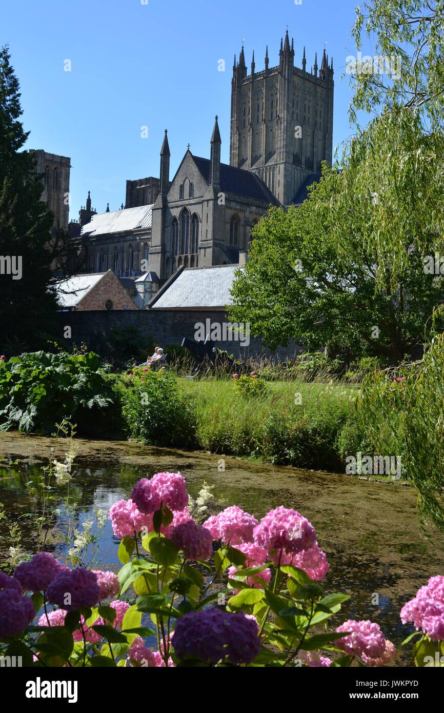 Wells Cathedral von Bishop's Palace Gardens, Wells, Somerset, England gesehen Stockfoto