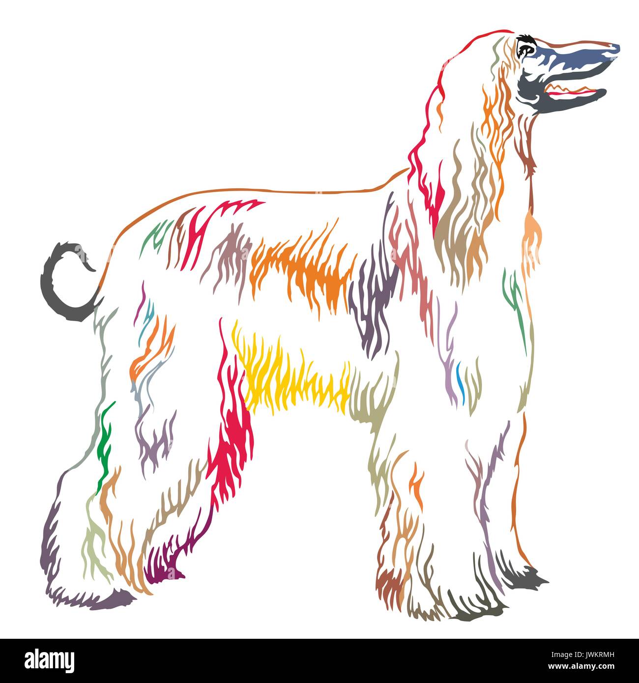 Bunt dekorativ Portrait von ständigen im Profil Afghanischen Windhund, Vektor isoliert Abbildung auf weißem Hintergrund Stock Vektor