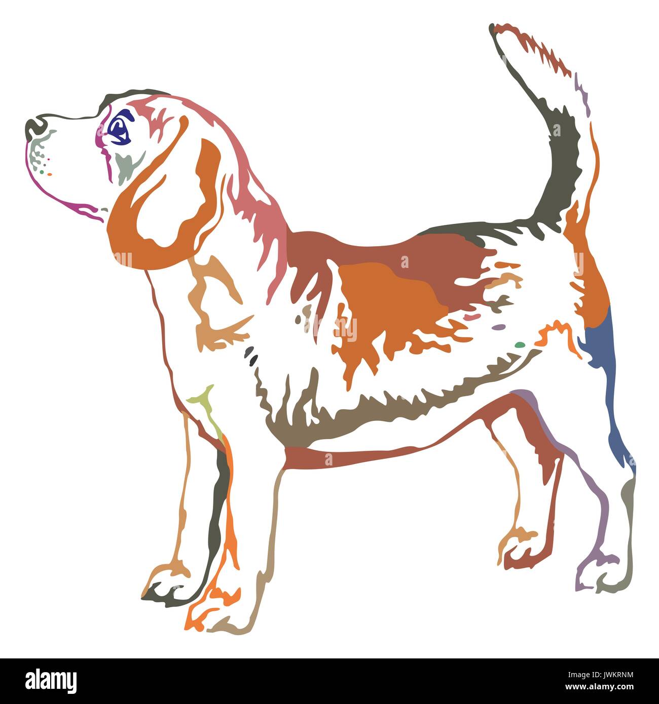 Bunt dekorativ Portrait von ständigen im Profil Beagle, Vektor isoliert Abbildung auf weißem Hintergrund Stock Vektor
