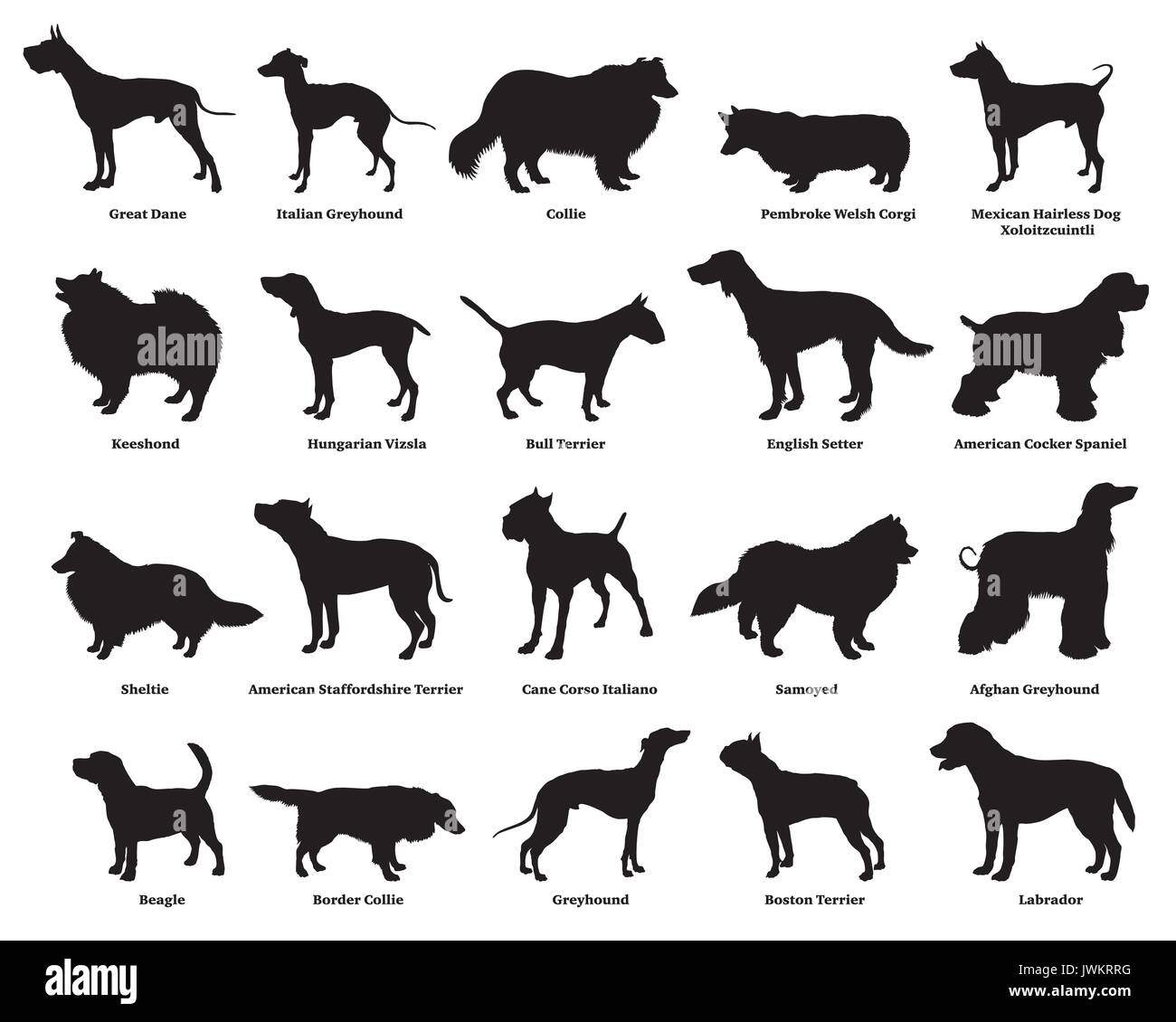Vektor einrichten verschiedener Rassen hunde Silhouetten isoliert in schwarzer Farbe auf weißem Hintergrund. Teil 2 Stock Vektor