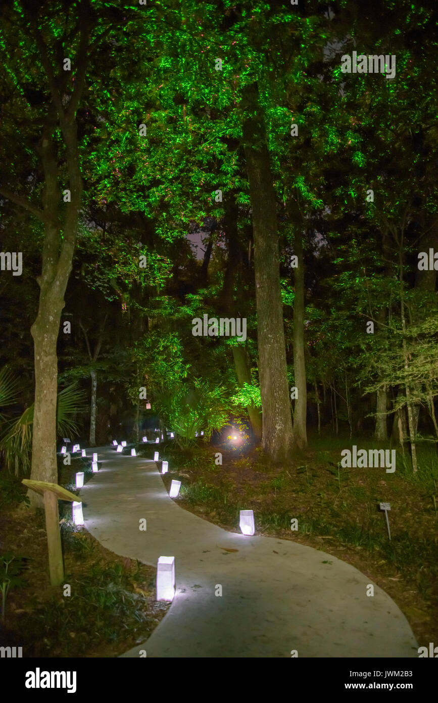 Nachts beleuchtete Fußweg durch den Park Stockfoto