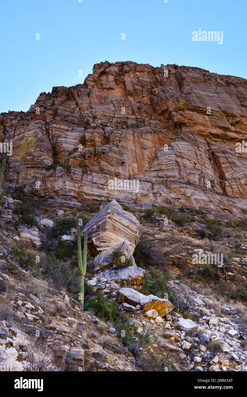 Sabino Canyon, Arizona, USA - Wanderwege Stockfoto